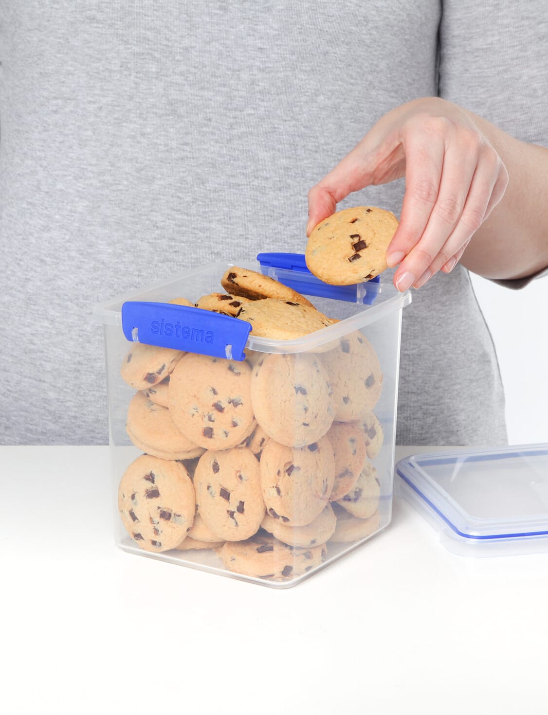 SISTEMA 2.35L Cookie Tub - OFFPRICE